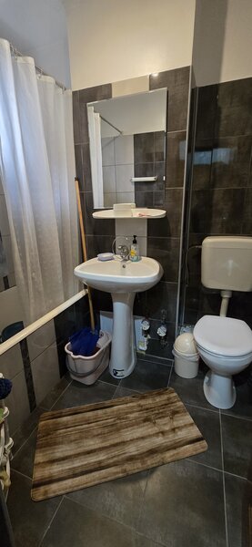 Berceni, Emil Racovita,